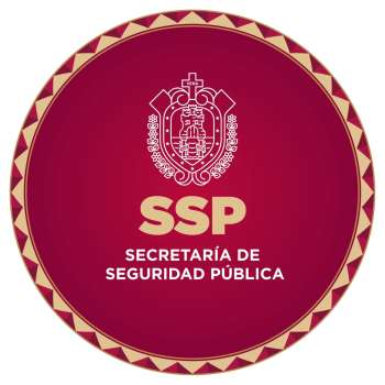 Acciones contundentes ante situaciones de seguridad en Veracruz: SSP