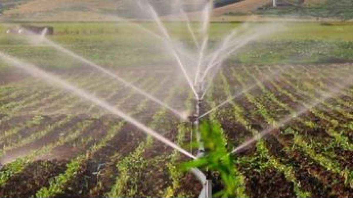 Invita Conagua a usuarios agrícolas de Veracruz a regularizar sus títulos de concesión de agua