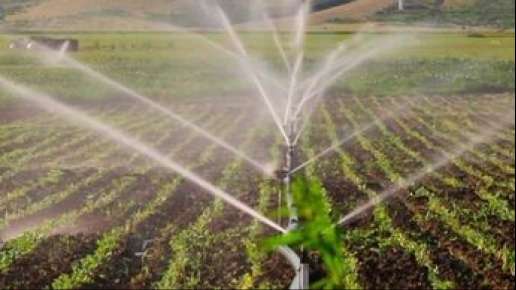 Invita Conagua a usuarios agrícolas de Veracruz a regularizar sus títulos de concesión de agua