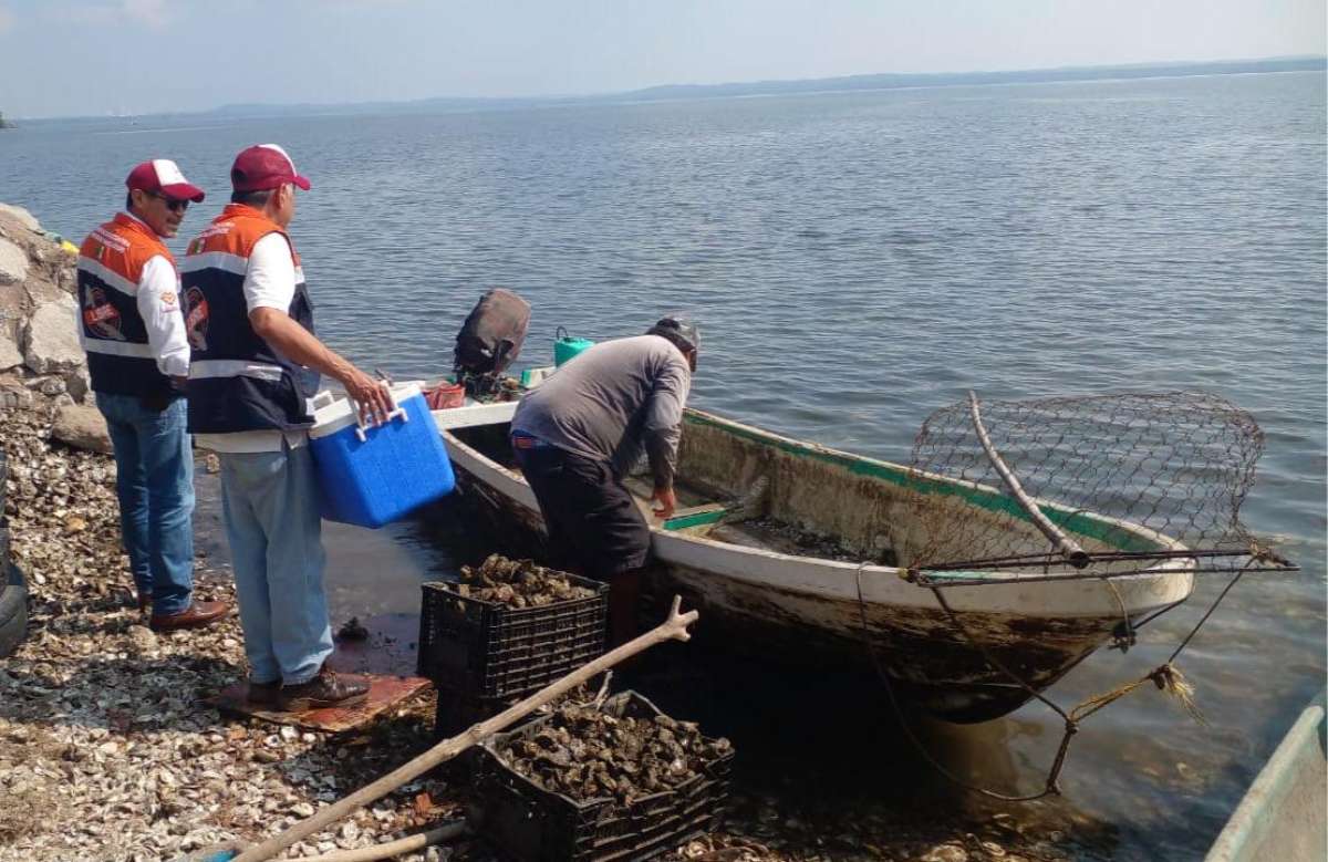 Supervisan pescaderías en temporada de cuaresma y playas de Veracruz para esparcimiento