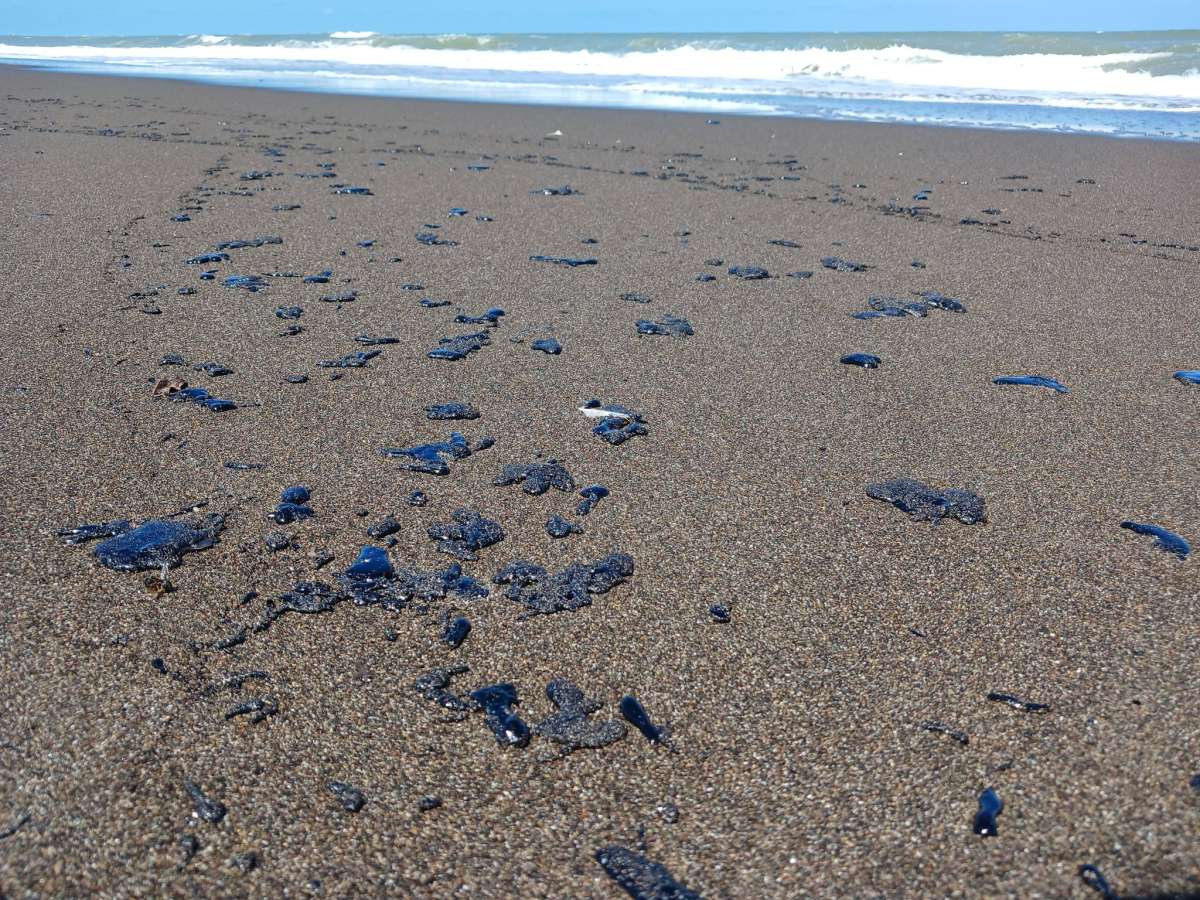 Ayuntamiento de Nautla suspende teporalmente actividades recreativas y pesqueras por presencia de hidrocarburo en playas
