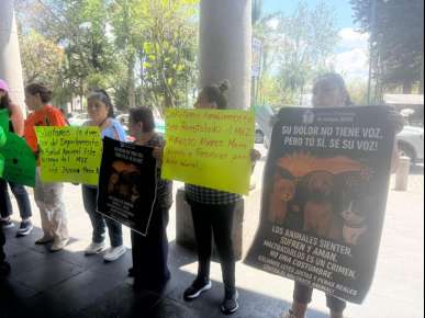Rescatistas y animalistas demandan la destitución de la directora de Salud Animal Municipal