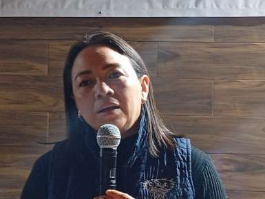 Por su complejidad alrededor del 20% de las empresas aplican la normatividad de la Ley Silla