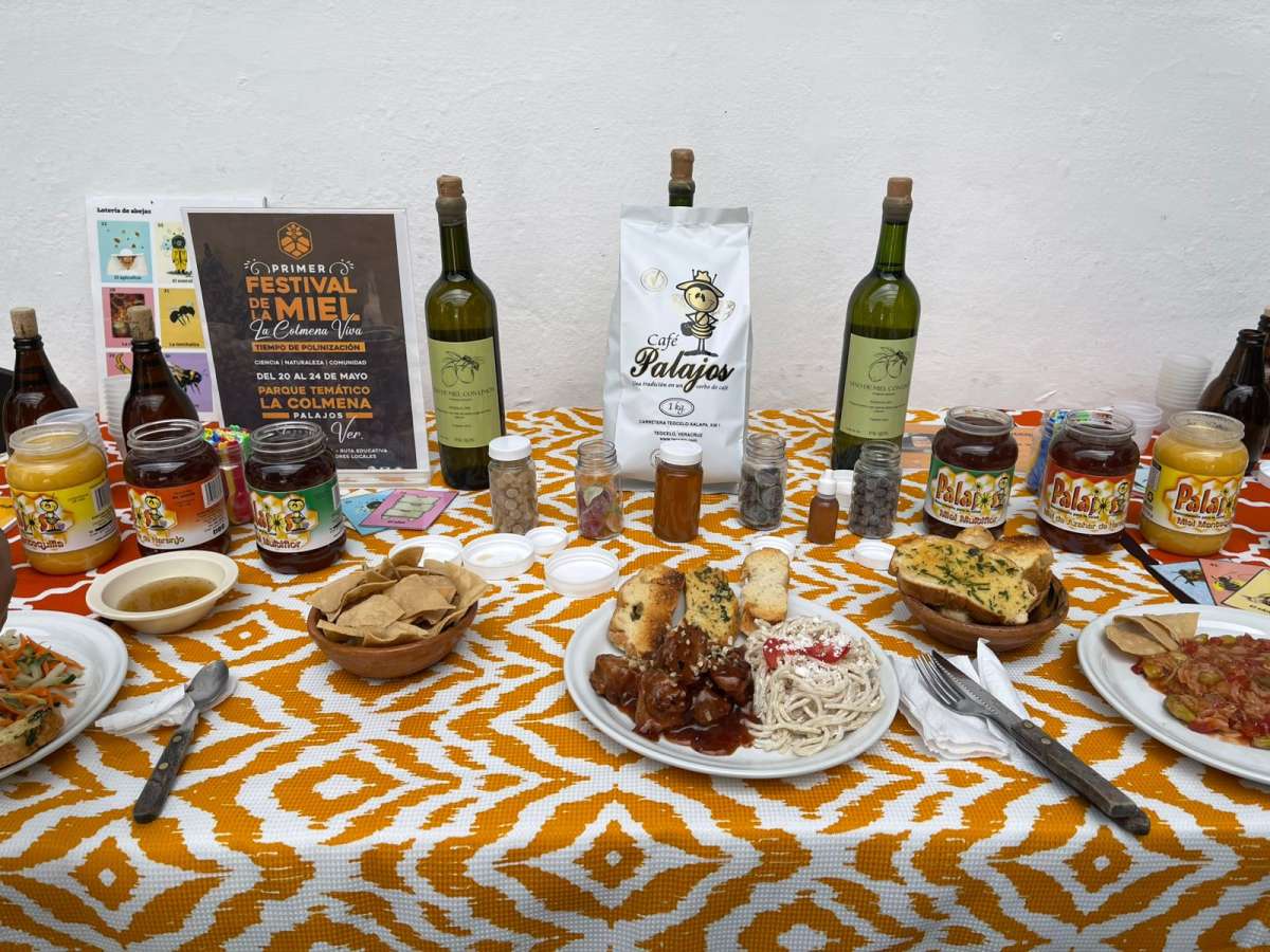 Teocelo será sede del Primer Festival de la Colmena Viva a realizarse del 20 al 24 de mayo