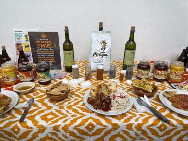 Teocelo será sede del Primer Festival de la Colmena Viva a realizarse del 20 al 24 de mayo