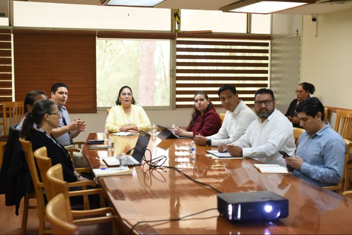 Participa Veracruz en iniciativa Datos en Acción, de INEGI y UNESCO   