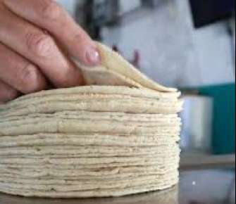 Oficialmente no hay autorización para incrementar el precio de la tortilla en el país, ni en Veracruz aclara gobernadora Nahle