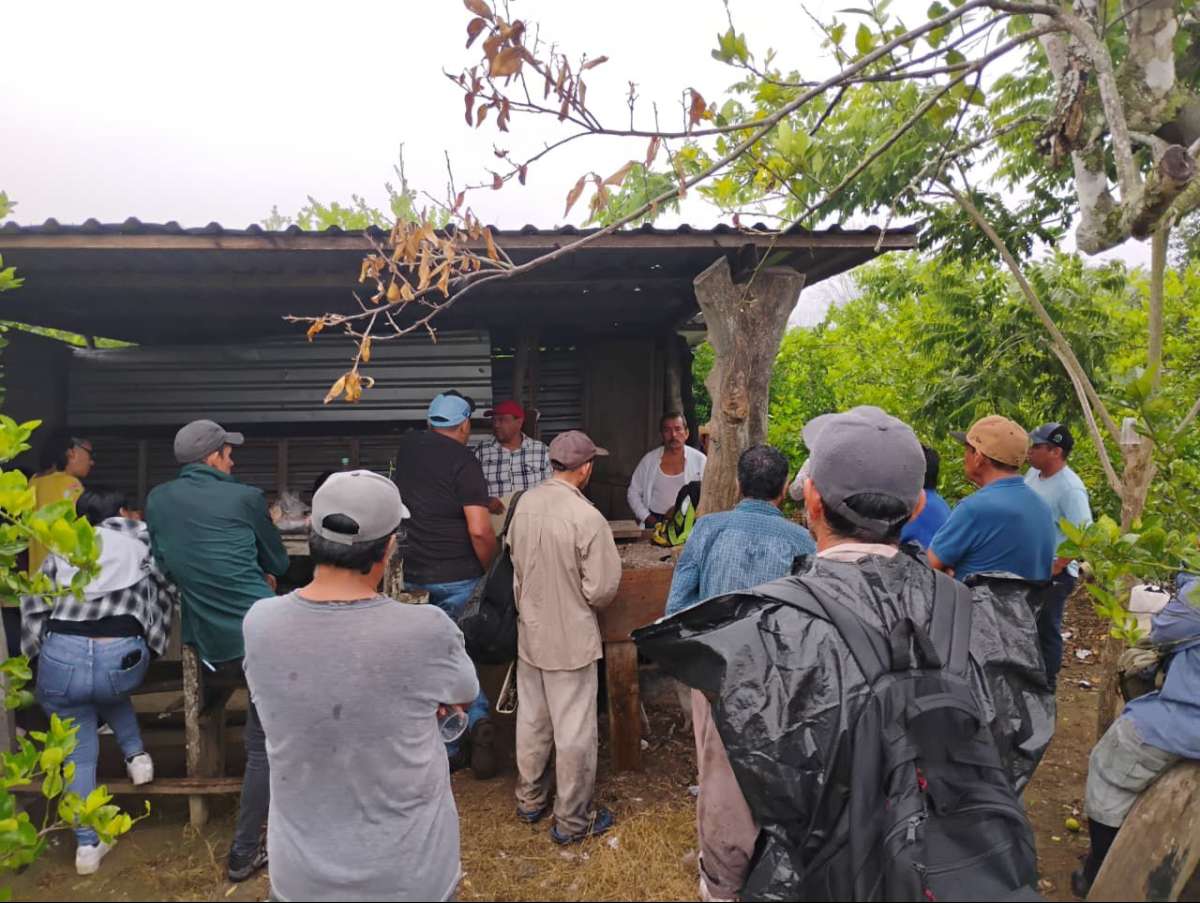 Productores de los municipios de Misantla, San Rafael y Nautla exigen rehabilitación urgente de caminos sacacosechas