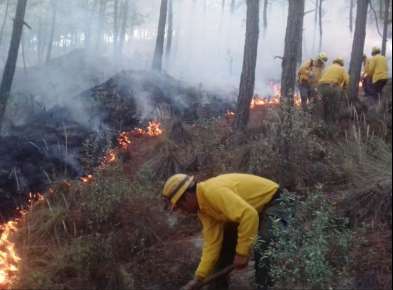Registra Veracruz 70 incendios forestales al corte del mes de mayo