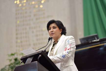 Respalda Veracruz nulidad de elecciones por intervención extranjera