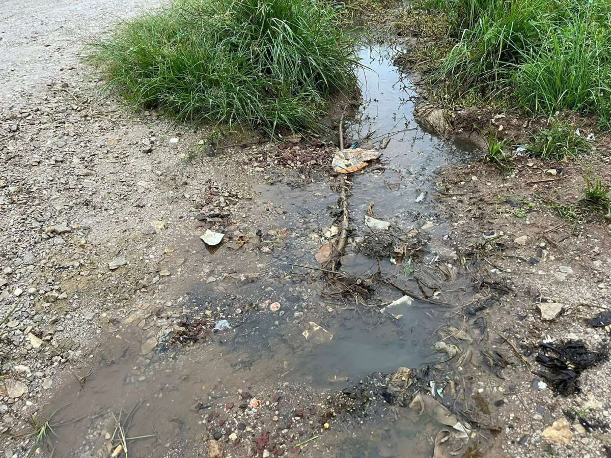 Por falta de drenaje sanitario más de 730 familias viven en riesgo constante de enfermarse