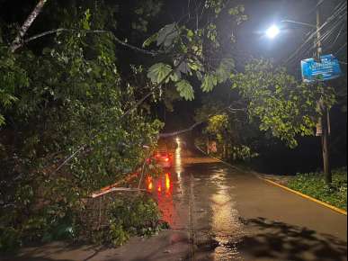 Corporaciones de emergencia atienden afectaciones por lluvias; se reporta saldo blanco en Coatepec   