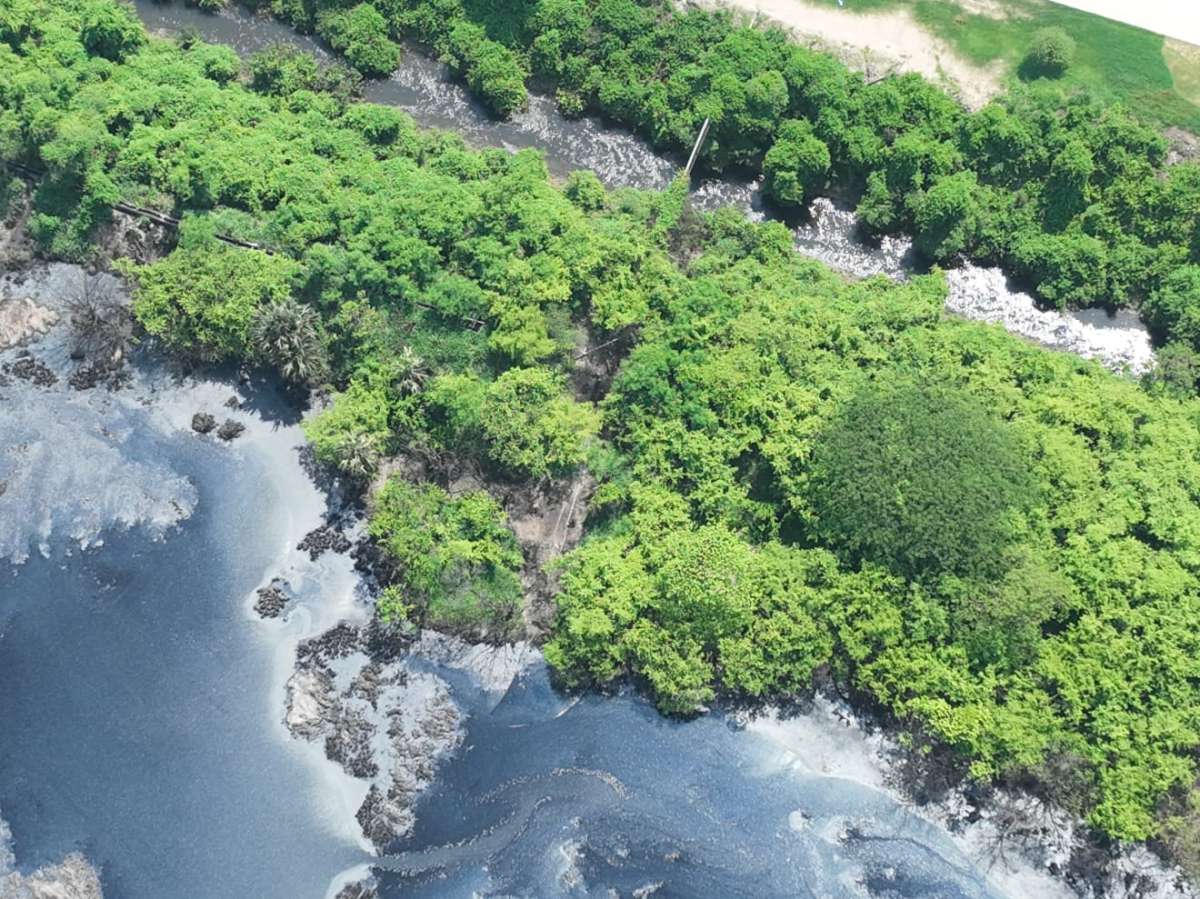 Clausura Profepa alcoholera de Nopaltepec por descargas residuales por mortandad de fauna acuática