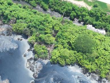 Clausura Profepa alcoholera de Nopaltepec por descargas residuales por mortandad de fauna acuática