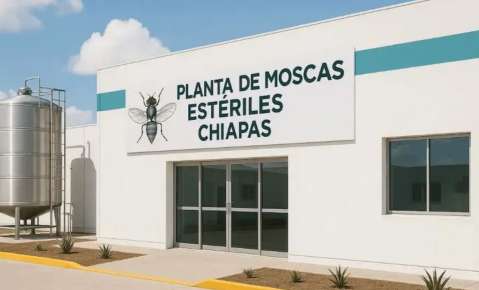 México y Estados Unidos se unen para combatir GBG, instalan planta de mosca esteril en Chiapas