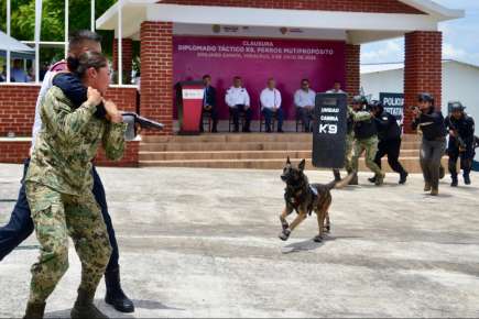 Veracruz referente nacional en capacitación K9, concluye 5.° diplomado táctico especializado   
