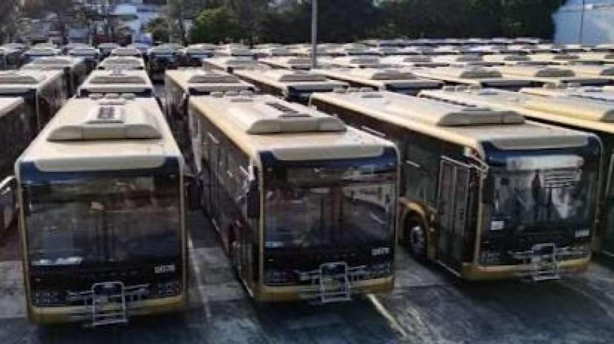 A finales de agosto llegan autobuses “Atenas” a Xalapa adelanta gobernadora Nahle