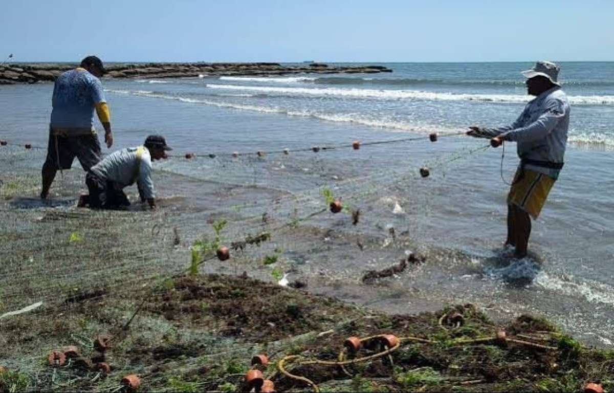 Miércoles entregan recursos a más de 2 mil pescadores del sur de Veracruz