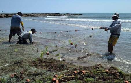 Miércoles entregan recursos a más de 2 mil pescadores del sur de Veracruz