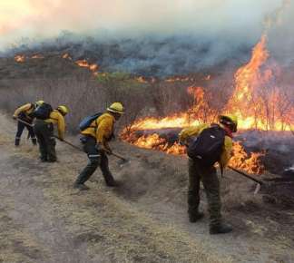 Durante 2026 la entidad veracruzana registra 81 incendios forestales y más de mil hectáreas con afectación