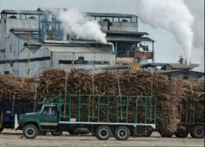 Hay que combatir el ingreso de azúcar de Guatemala que entra de contrabando al país y afecta a productores