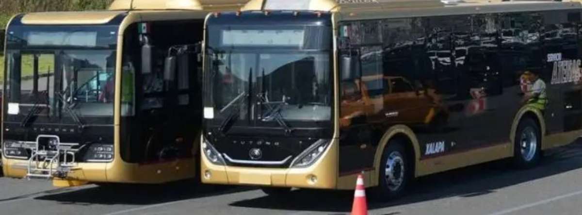 Autobuses Atenas, Totonacos y Papaloapan llegaron a México