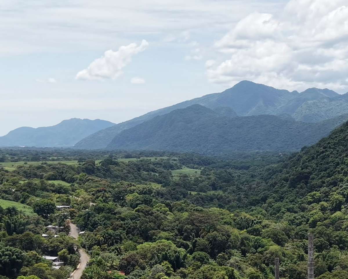 En un año, Sedema atendió más de 7 mil kilómetros del Área Natural Protegida Metlac-Río Blanco   