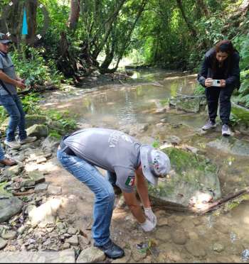 Atiende Conagua contingencia ambiental por mortandad de especies acuáticas en Ixhuatlán de Madero, Veracruz  