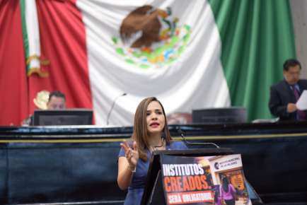 95 municipios veracruzanos no cuentan con Instituto Municipal de las Mujeres: Elena Córdoba