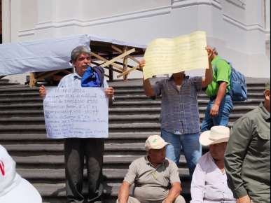 Triste panorama enfrenta la cafeticultura veracruzana, cosecha 2026 están por iniciar y ya enfrentan 40% de pérdidas por la roya del café